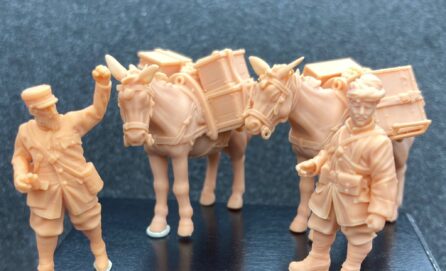 Train de mules