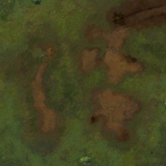 Battlemap Prairie avec ou sans quadrillage