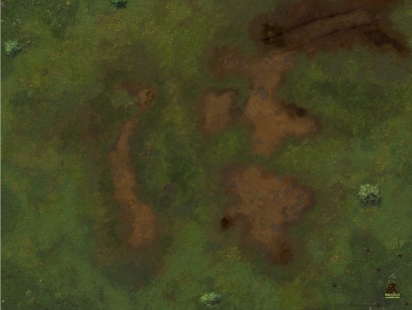 Battlemap Prairie avec ou sans quadrillage